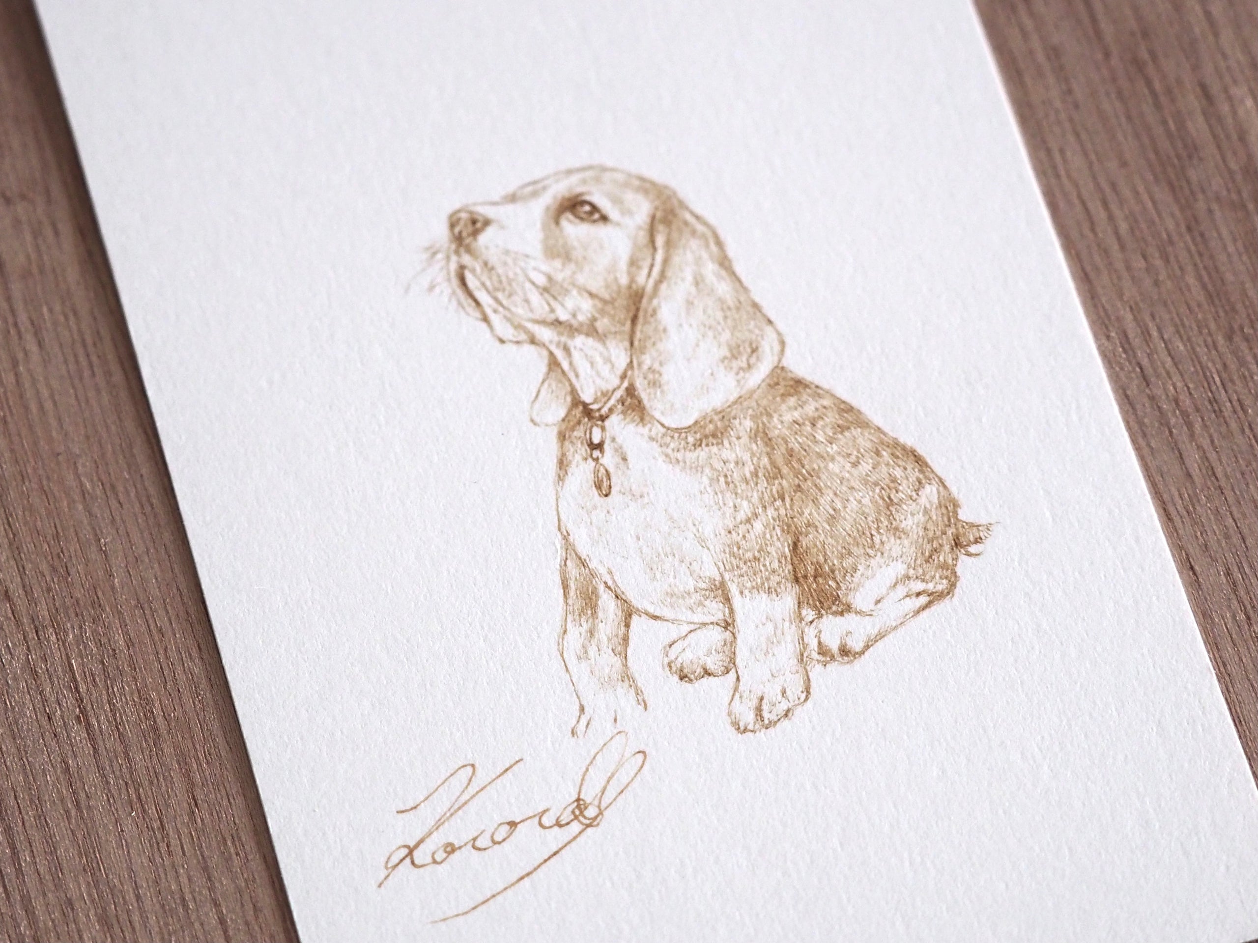 犬の絵 ビーグル 鉛筆画 - 絵画